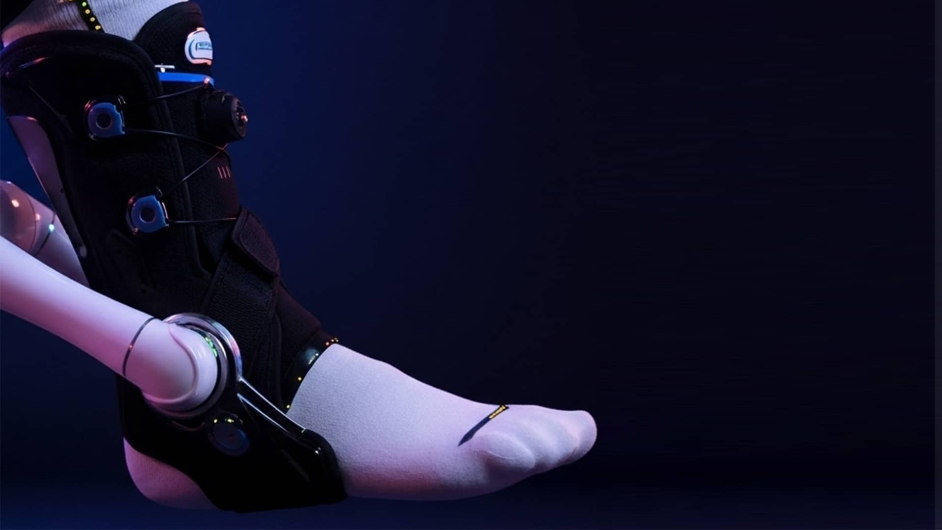 Ankle Dorsiflexion / Plantarflexion