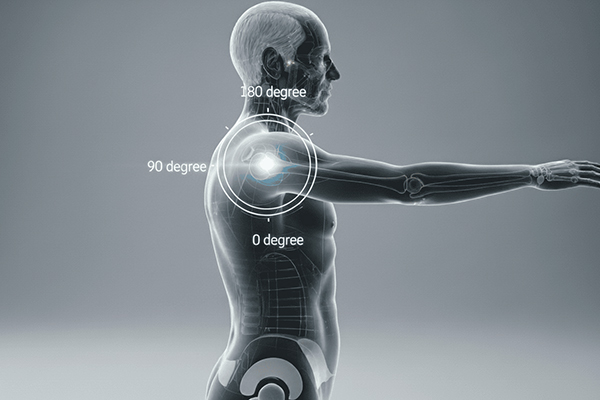 Shoulder Flexion / Extension