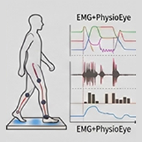 Gait and Functional Mobility

