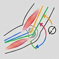 Movement Coordination

