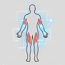 Neuromuscular Assessment
