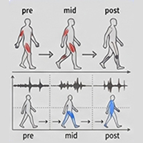 Rehabilitation Monitoring

